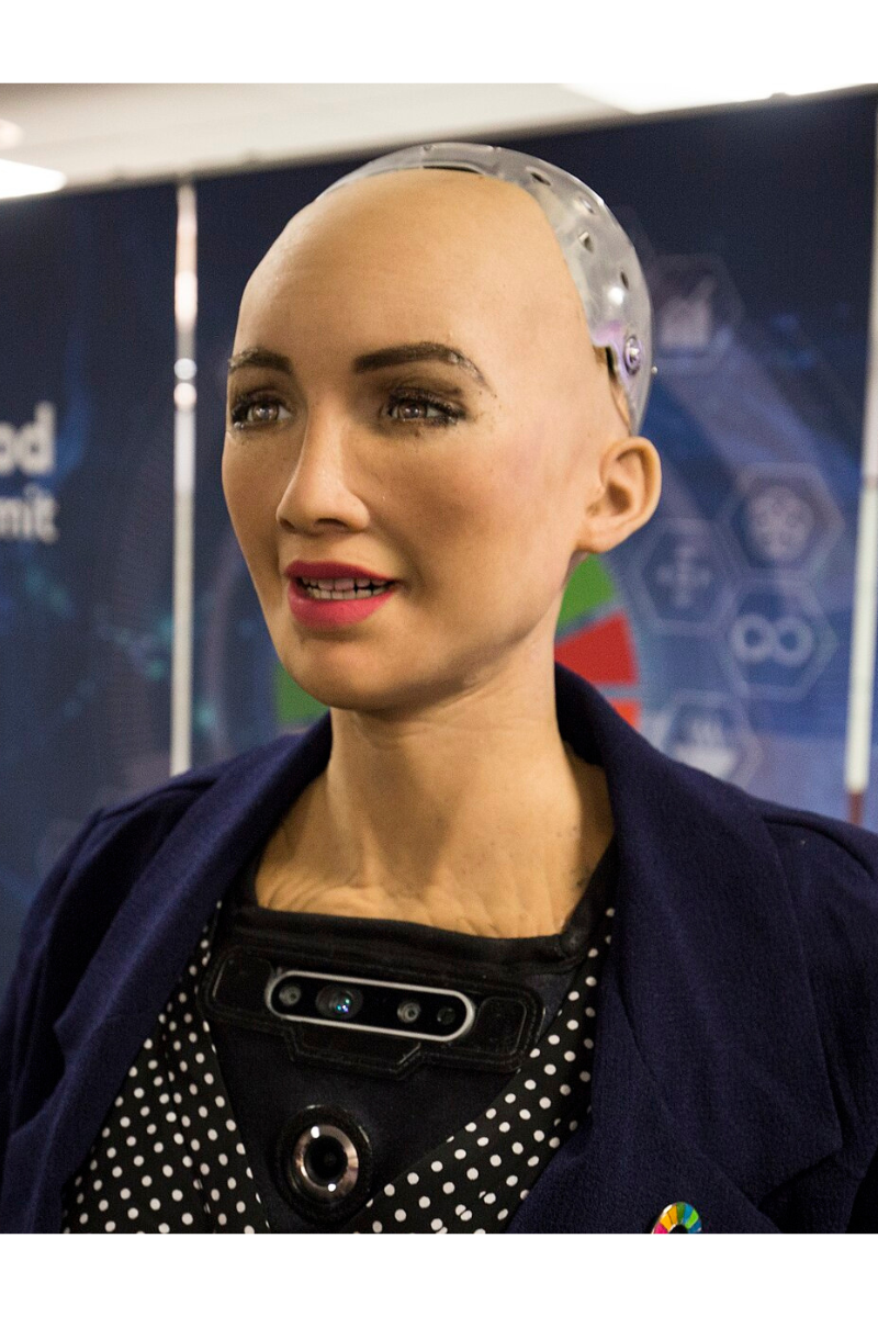image in sophia robota